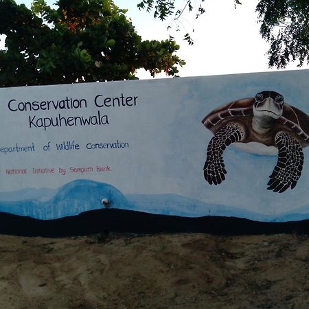 Jasmin Homestay Marakolliya Tangalle Buitenkant foto