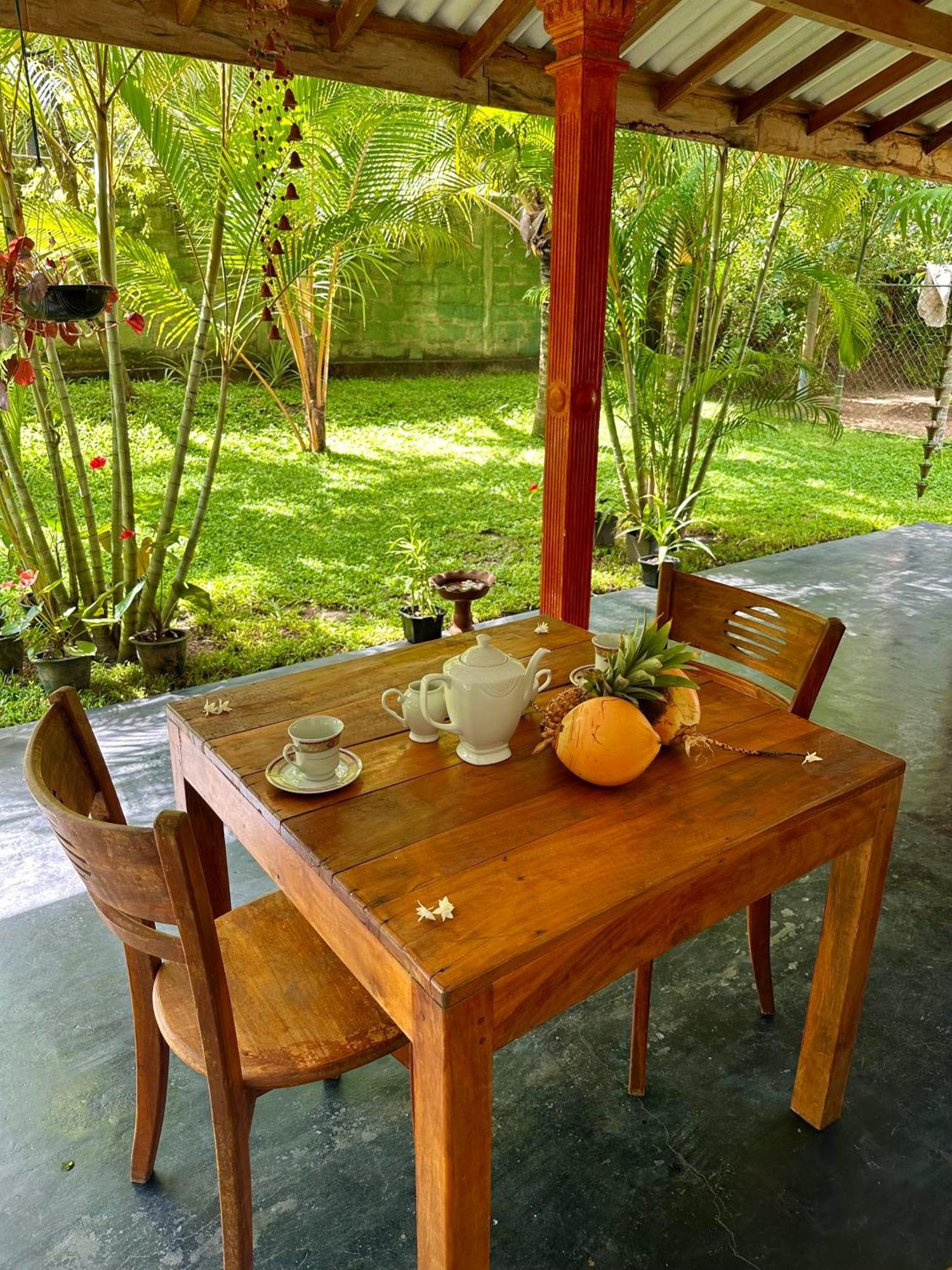 Jasmin Homestay Marakolliya Tangalle Buitenkant foto