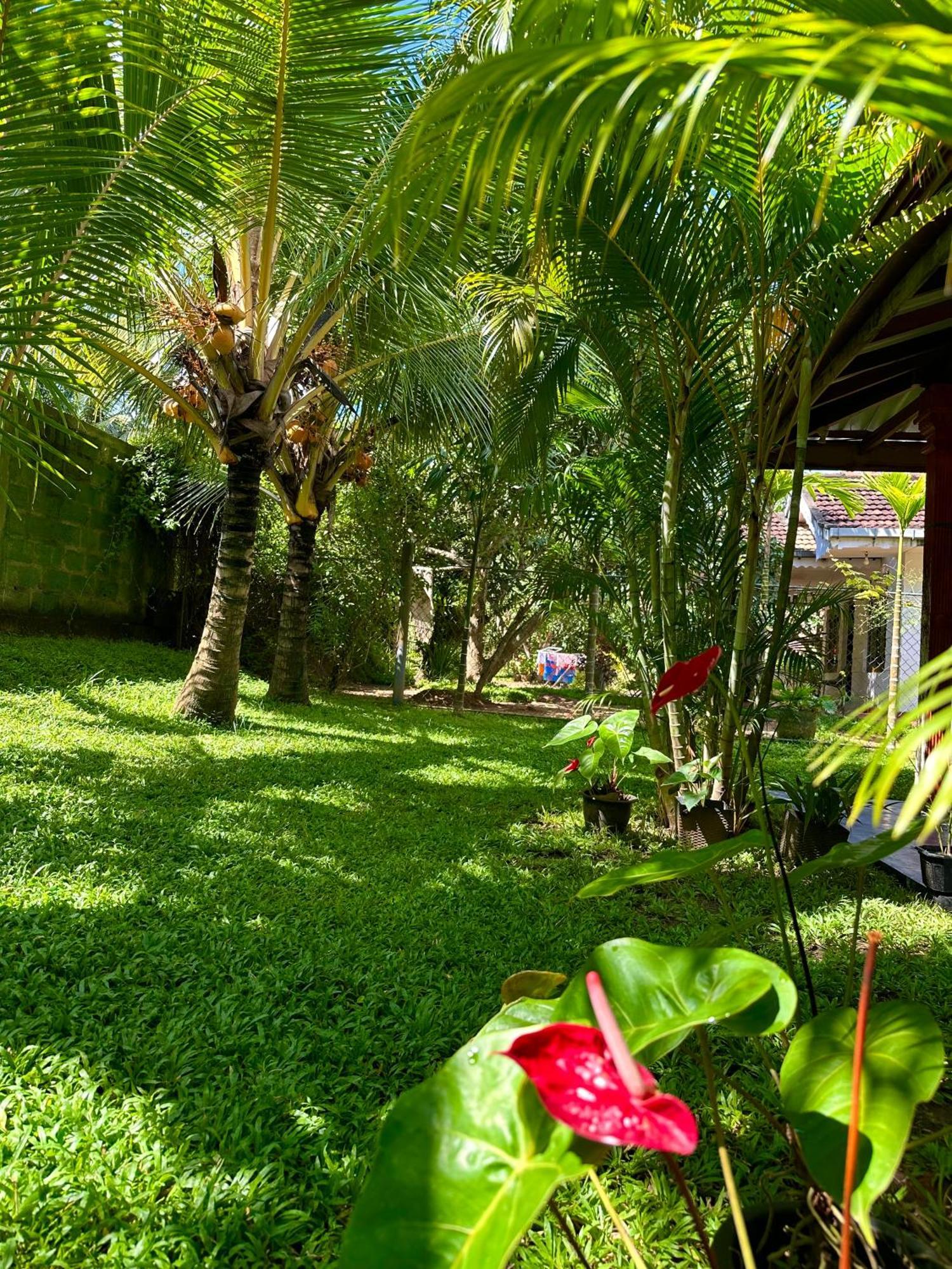 Jasmin Homestay Marakolliya Tangalle Buitenkant foto