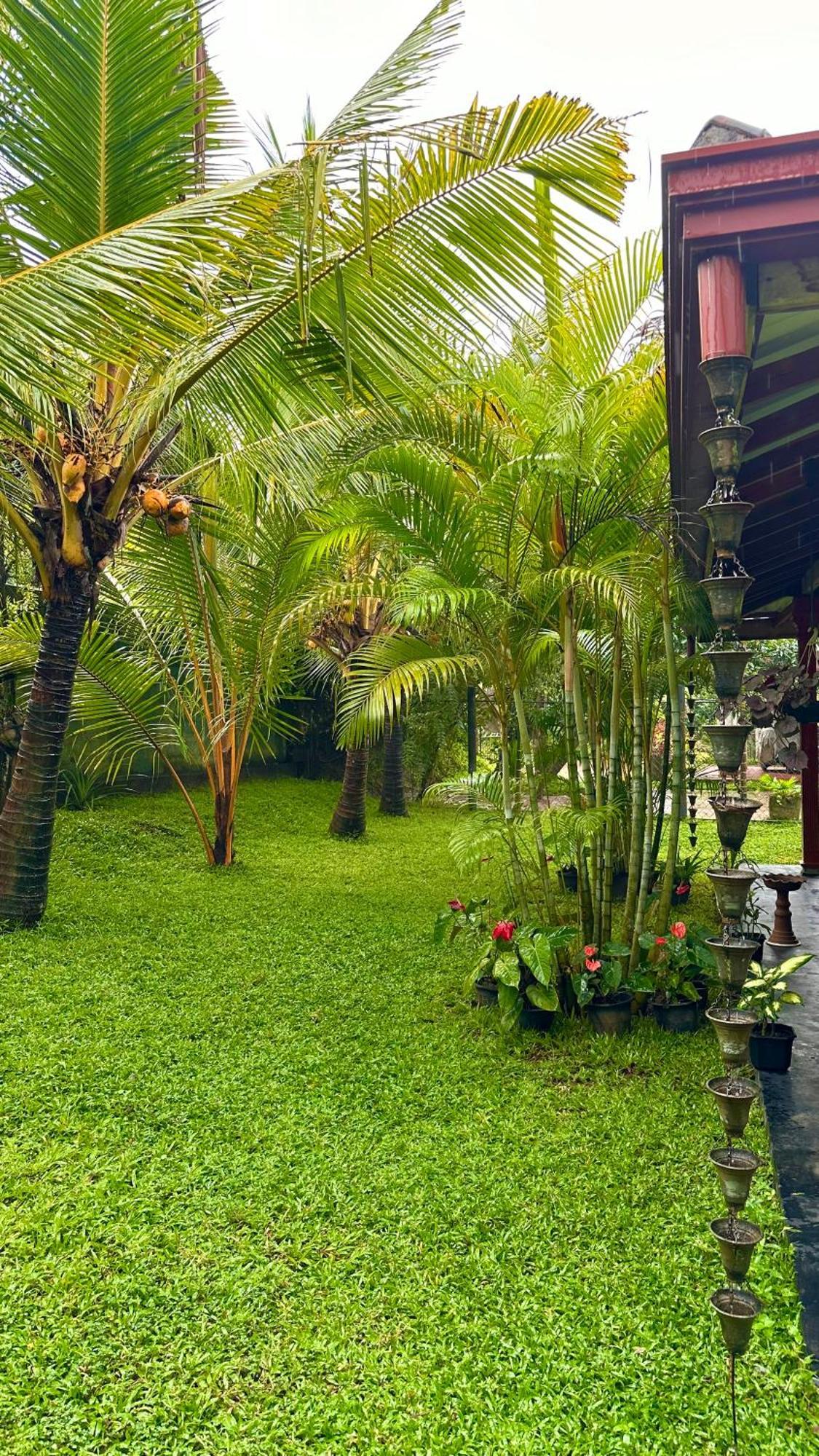 Jasmin Homestay Marakolliya Tangalle Buitenkant foto