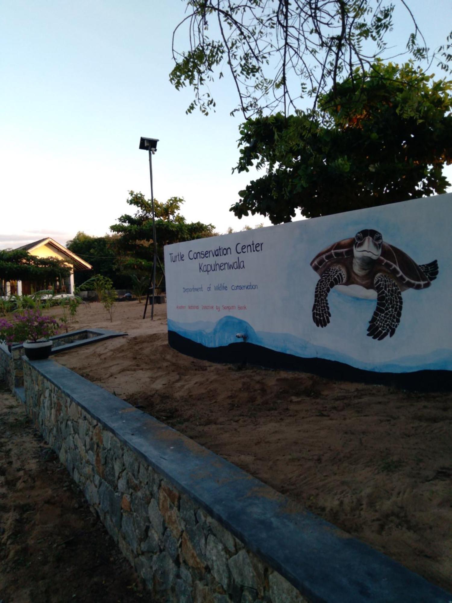 Jasmin Homestay Marakolliya Tangalle Buitenkant foto